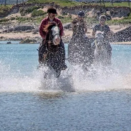 펜션 Seahaven, Errislannan